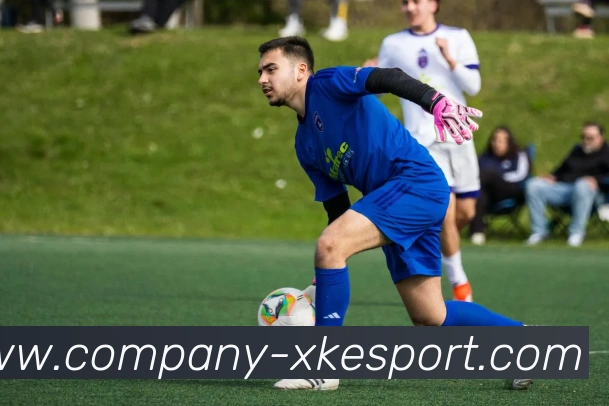 星空电竞平台生态图